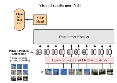 Vision Transformer