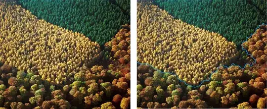 segmentation