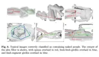 Typical images correctly classified as containing naked people