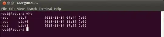 root terminal