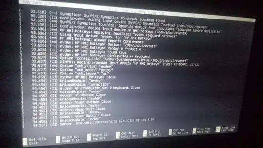 Xorg log