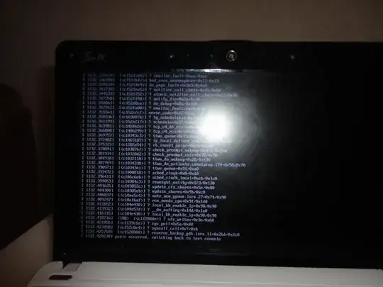 Panic occurred!