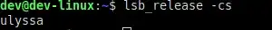 lsb_release -cs
