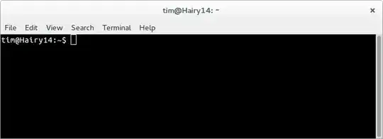 terminal screenshot