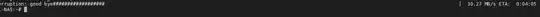 Terminal screenshot