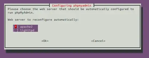 Choose Web Server