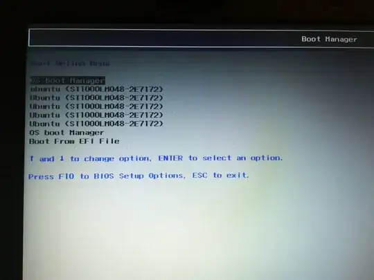 boot device options