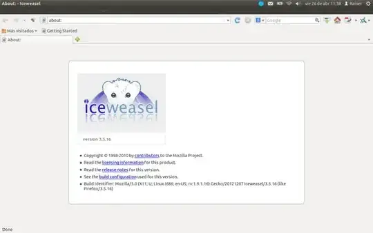 iceweasel first run