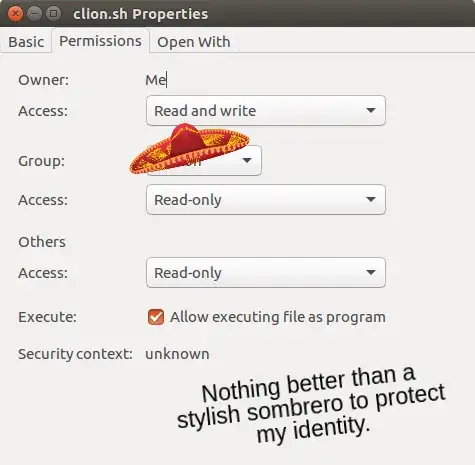 Executing file