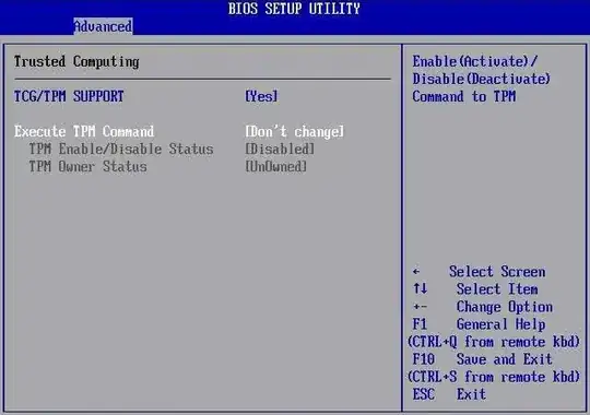 TPM in BIOS