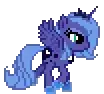 Pony