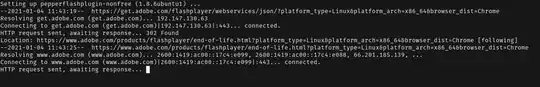 terminal output
