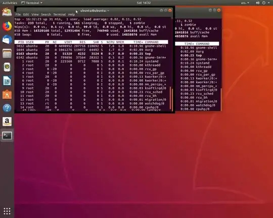 Maximized window