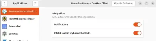 remmina settings