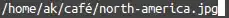 Path appears correctly in GNOME Terminal