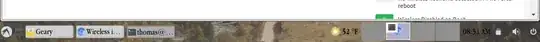 panel showing no networking icon