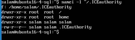 .ICEauthority owned by salam (user) with rw-r--r--