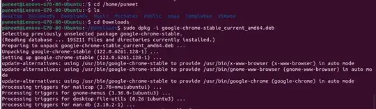 Terminal image