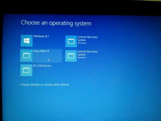 Blue boot selection screen