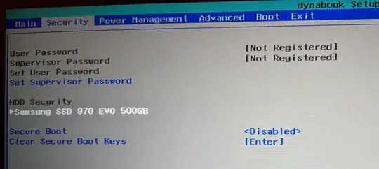 Security tab