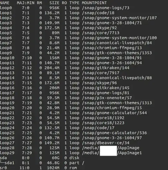 lsblk output