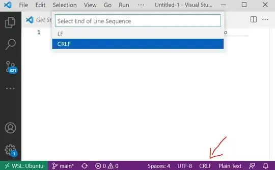 VSCode window