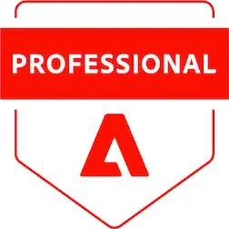 Magento 2 Professional Developer