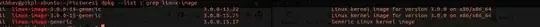 output of dpkg -l linux-image-...