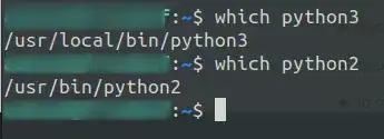 Terminal screenshot