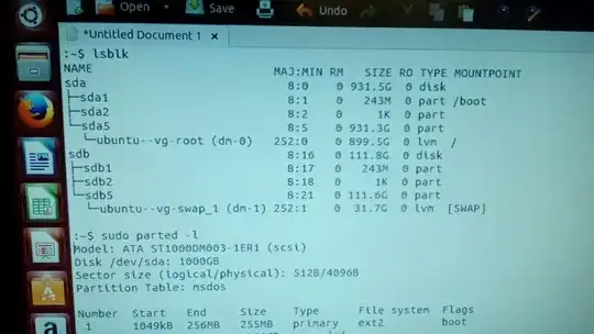 lsblk output