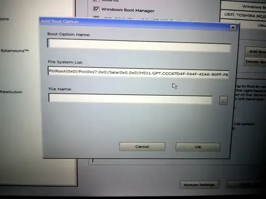 Boot Option fields