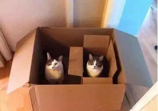 Hierarchy of cats in boxes