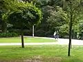 A walk in the park; perhaps the most iconic example of green exercise.