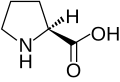 L-Proline(Pro / P)