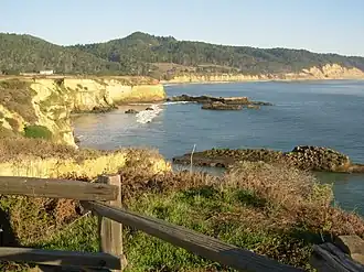 Ano Nuevo State Park, Northern California