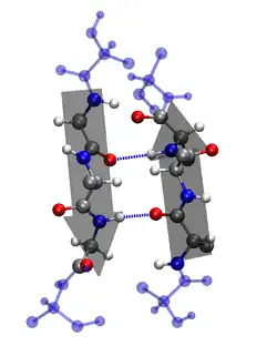β-sheet