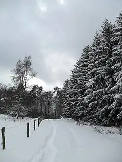 Winter Landscape, Germany