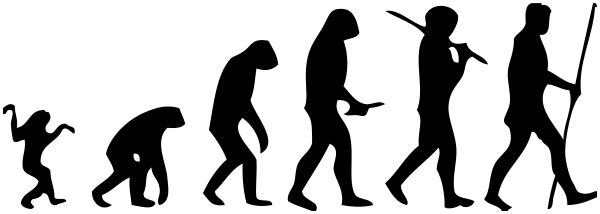 Human evolution scheme