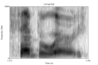 Spectrogram 3