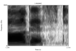 Spectrogram 4