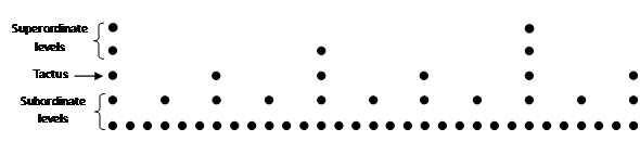 Metrical structure