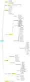 Viruses Baltimore Classification