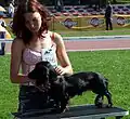 Dog owner with dog at a dog show.